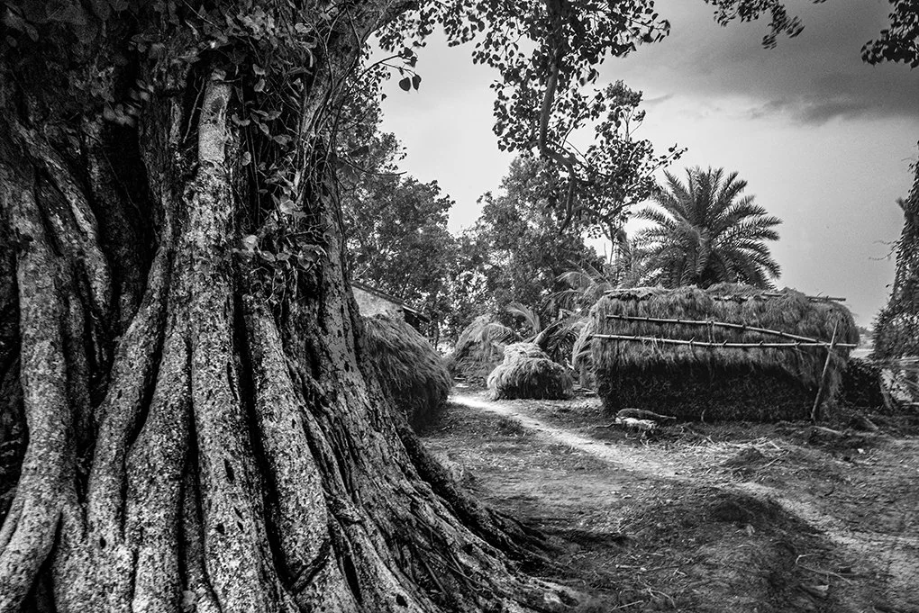 06431D1F-B19F-40CE-87C8-3188850E0072 copy 2.jpg