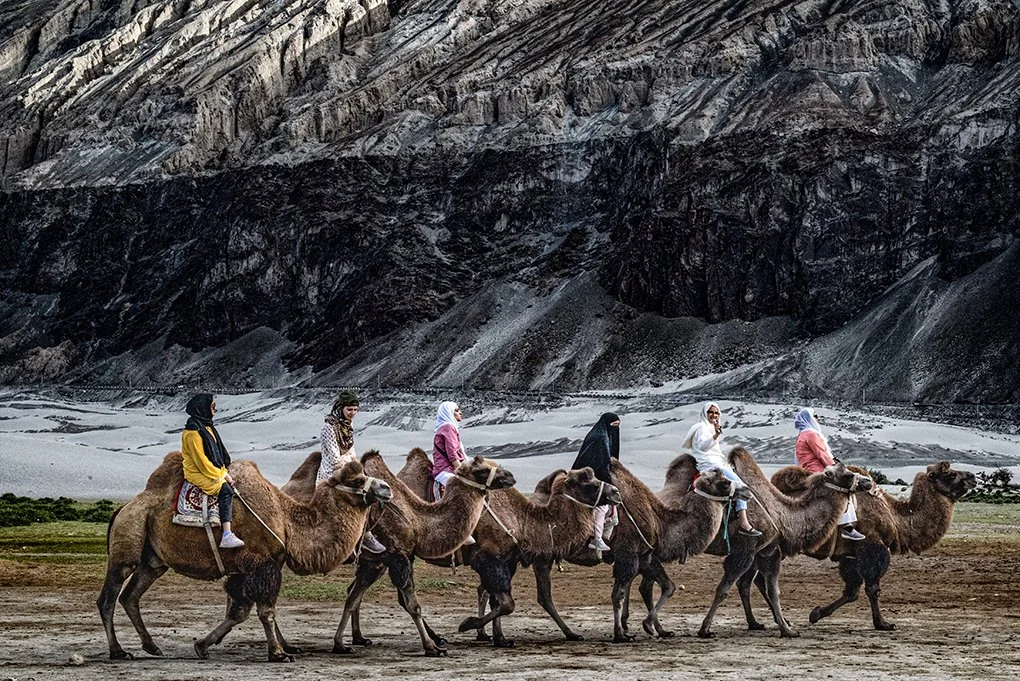 69C57D1B-E0BC-47B3-BA25-98E628915929 copy 2.jpg