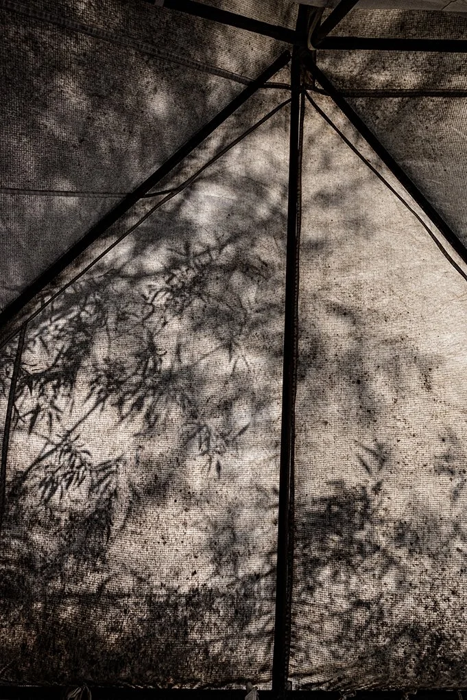 9566DA2C-640F-41F3-97FF-9E95D89CCF06 copy 2.jpg