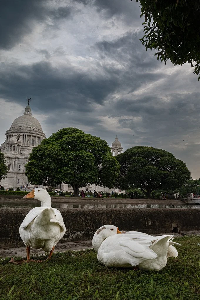 43FB801E-1958-4C8A-AB8F-2F92DDC039D0 copy 2.jpg