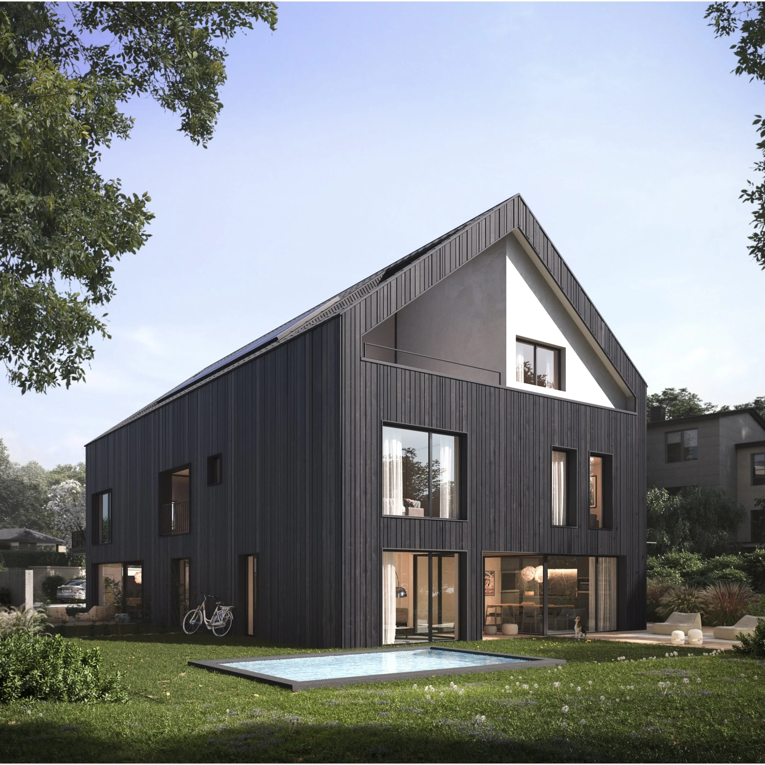 03 - field view - hi resolution.jpeg