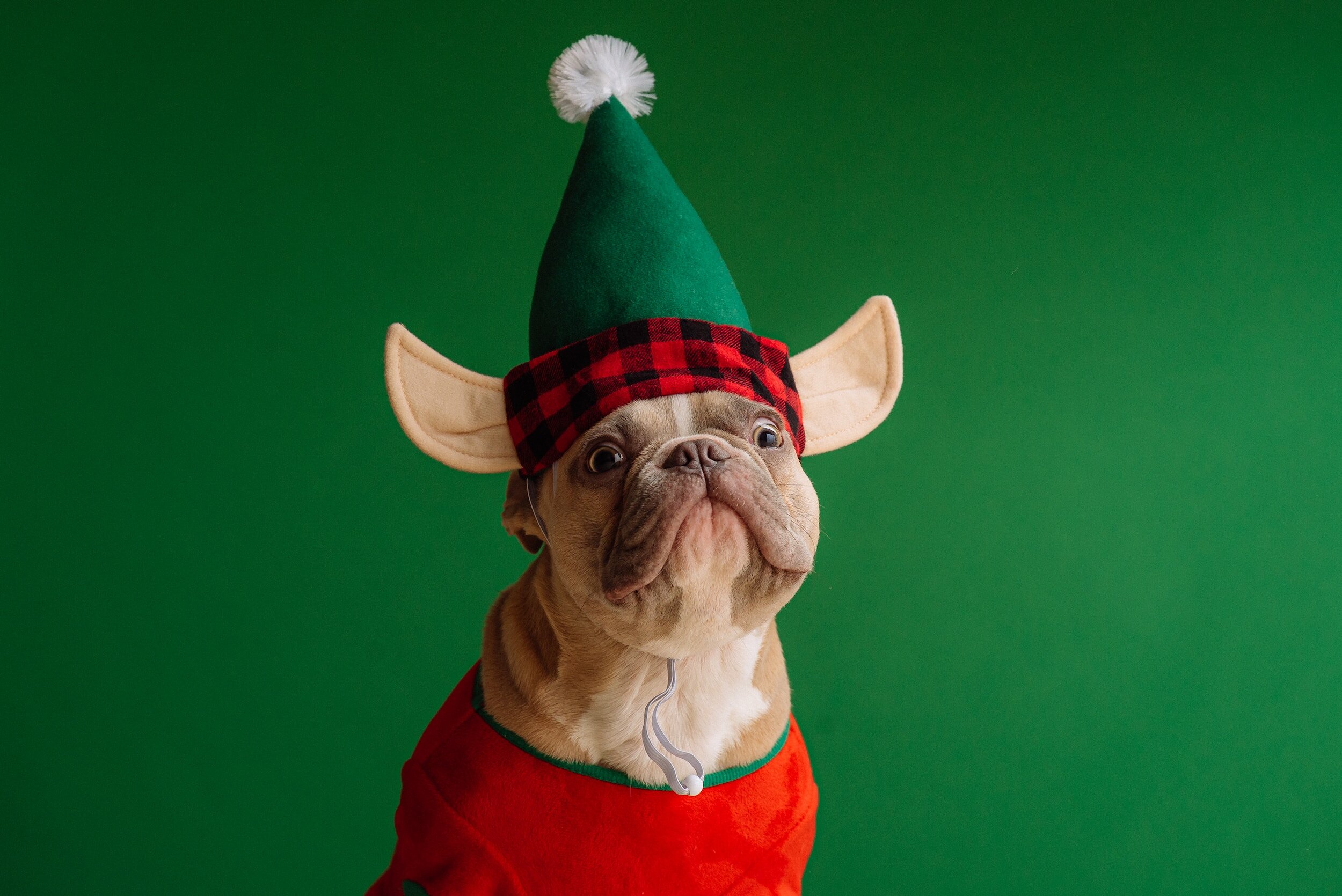 Here are some ideas for an office Christmas party to help you make the event enjoyable and festive.