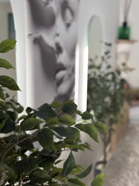 Indoor setting with green leafy plants and a black and white photograph of a woman's face on the wall.