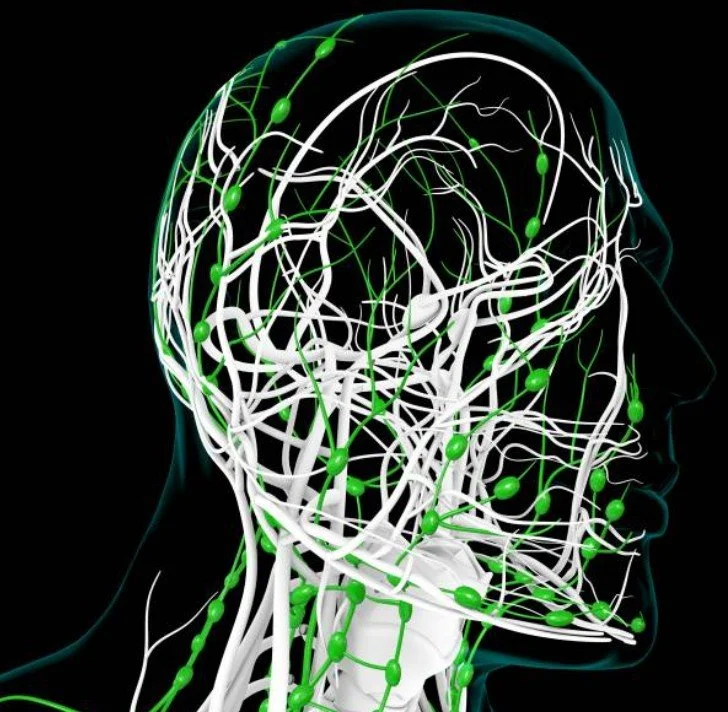 Understanding the Lymphatic System: 