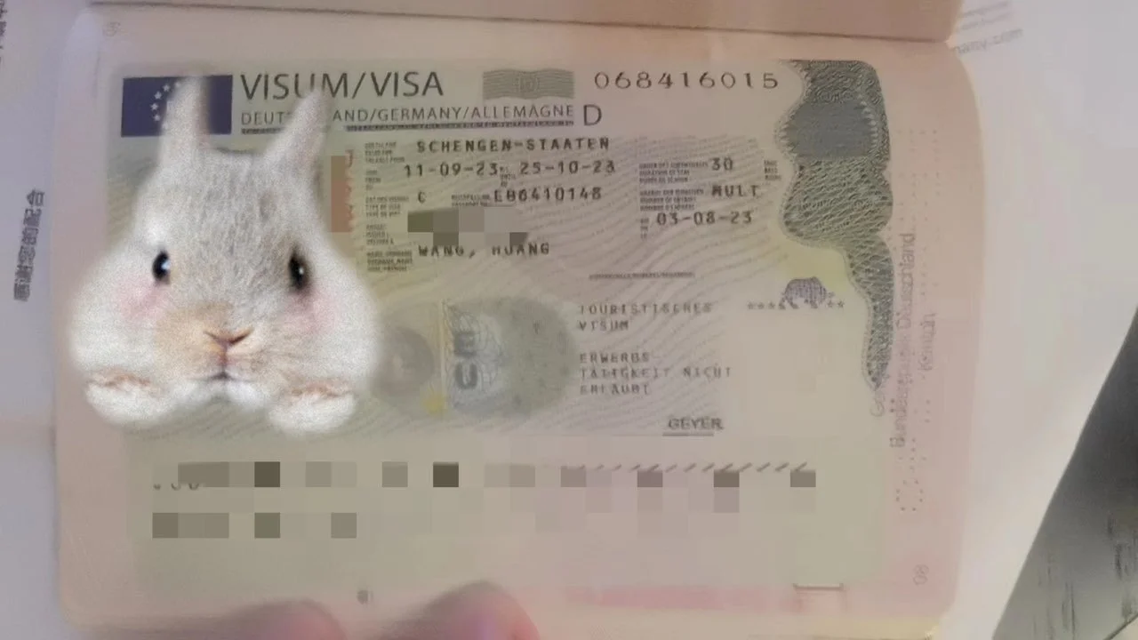 Ahmed's Spain and France Case Share