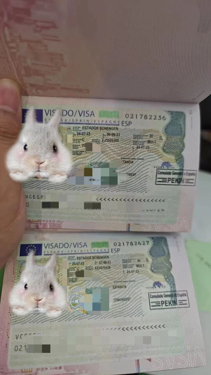 Ms. Chan's France Visa Case Sharing