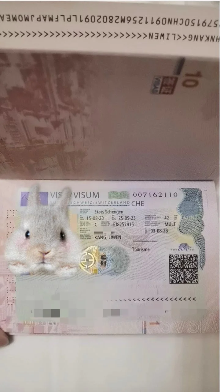 Mr. Li's Czech Visa Case Share