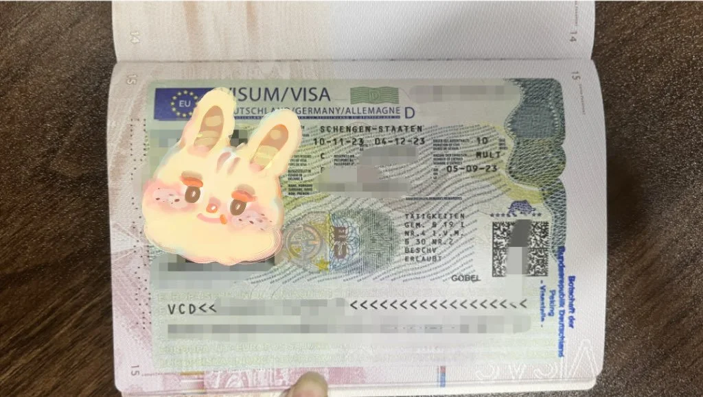 Sameer's Austria Visa Case Share
