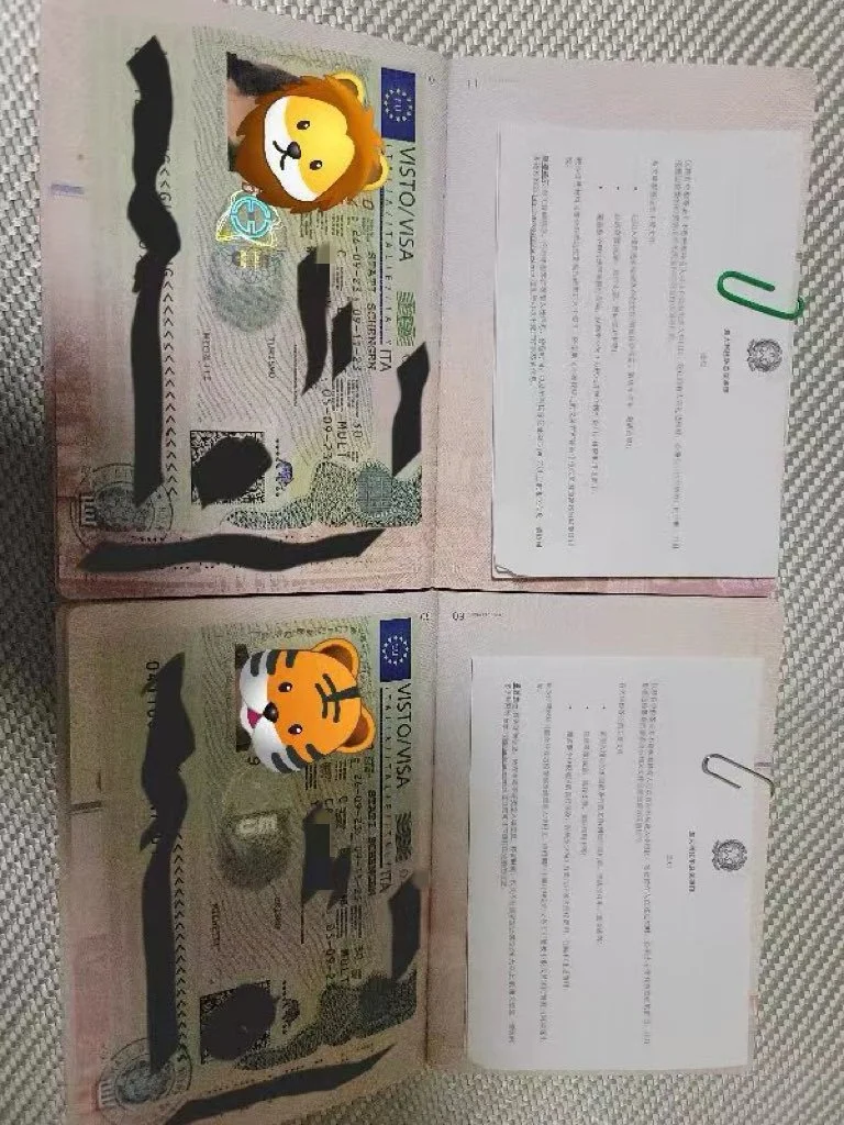 Ahmed and Amina's Switzerland Visa Case Share