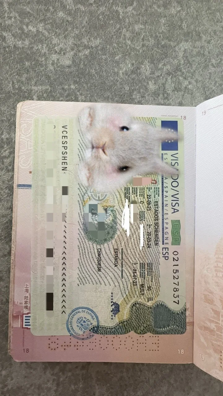 The Germany Visa Experience of Ms. Fatima, Ms. Aisha, and Ms. Priya✅ (Copy)