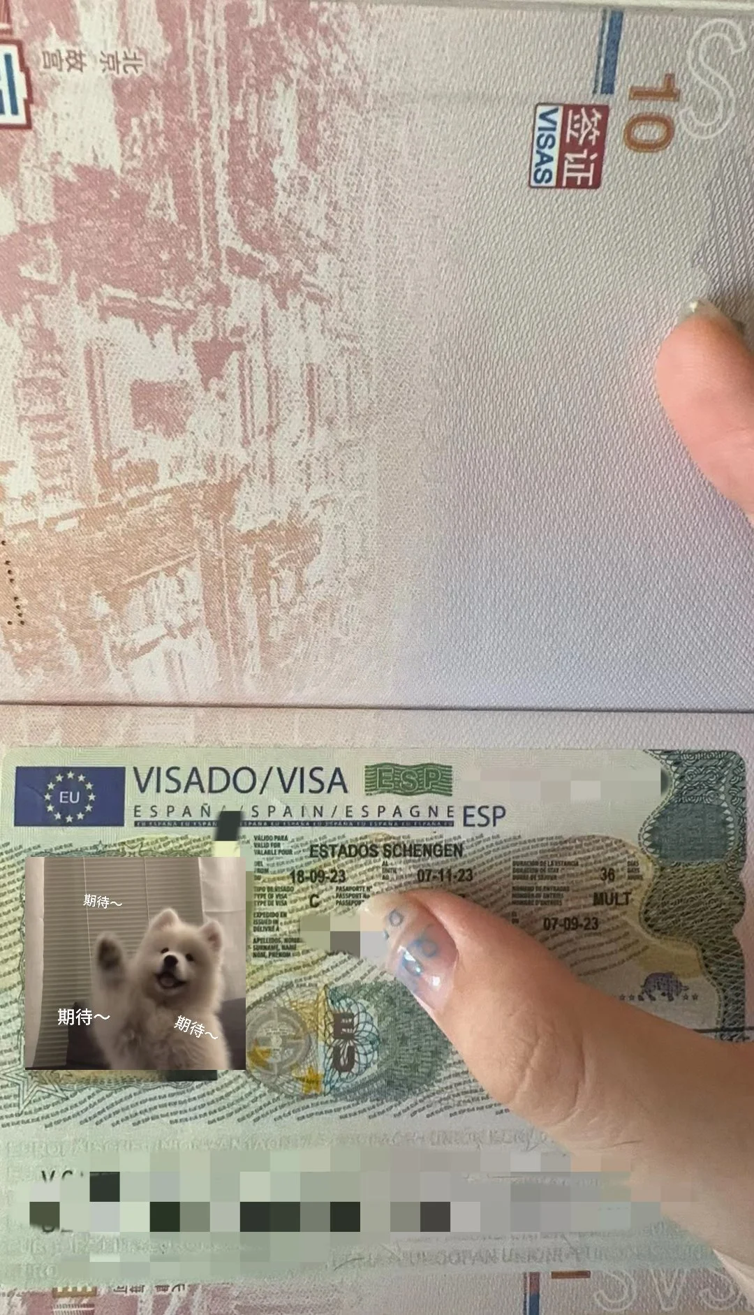 ✨ "Four Countries, One Journey — Exploring the Limitless Horizons of European Culture with Ms. Gao" ✨