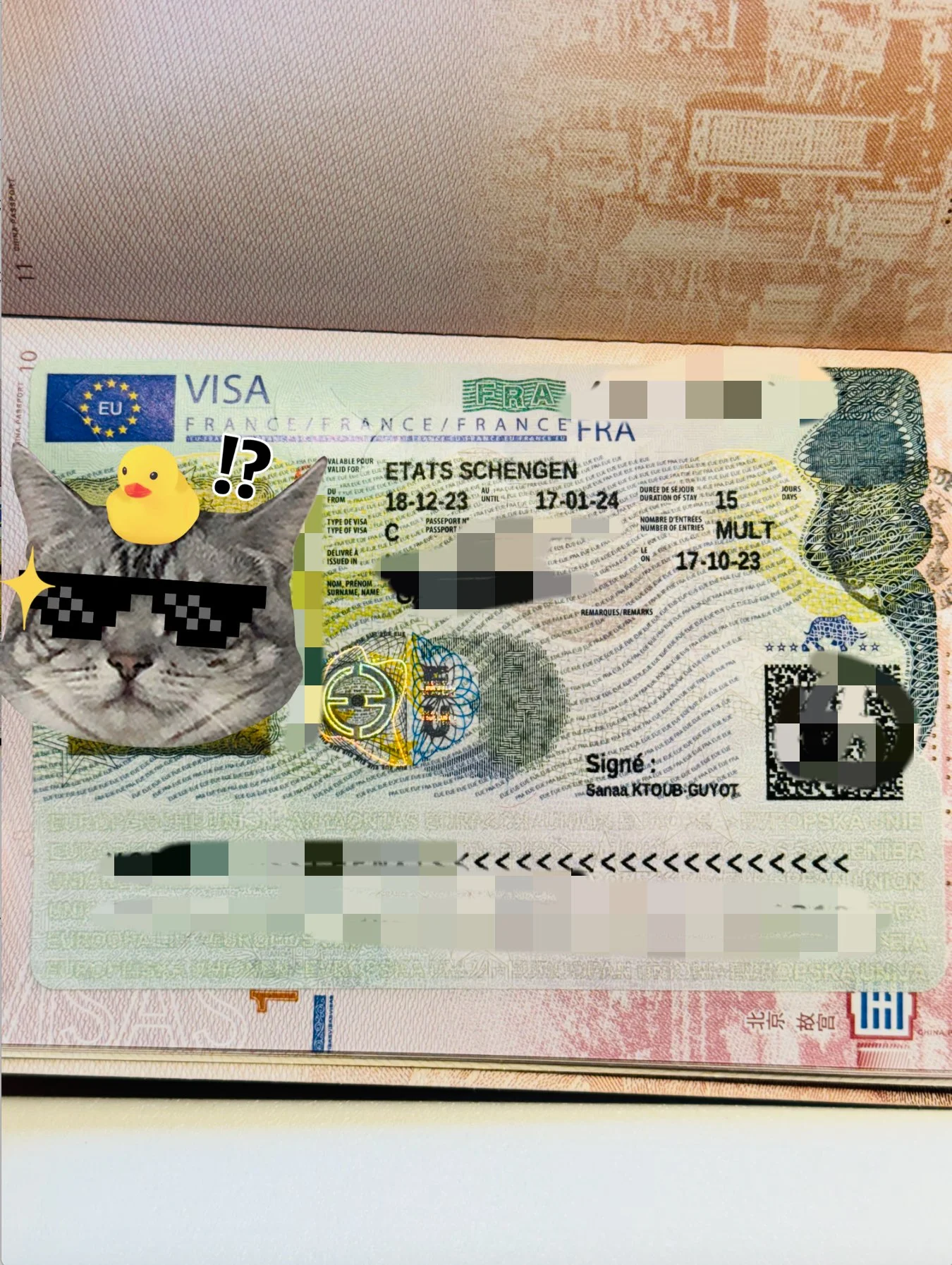 ✨ "Success Story: Single Student Mr.Dupont Overcomes Three Rejections to Finally Secure a French Visa!" ✨