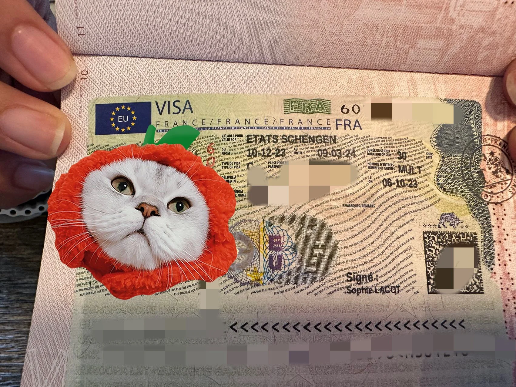 Single students with records from developed countries Madame Sophie and Monsieur Xavier France visa case sharing