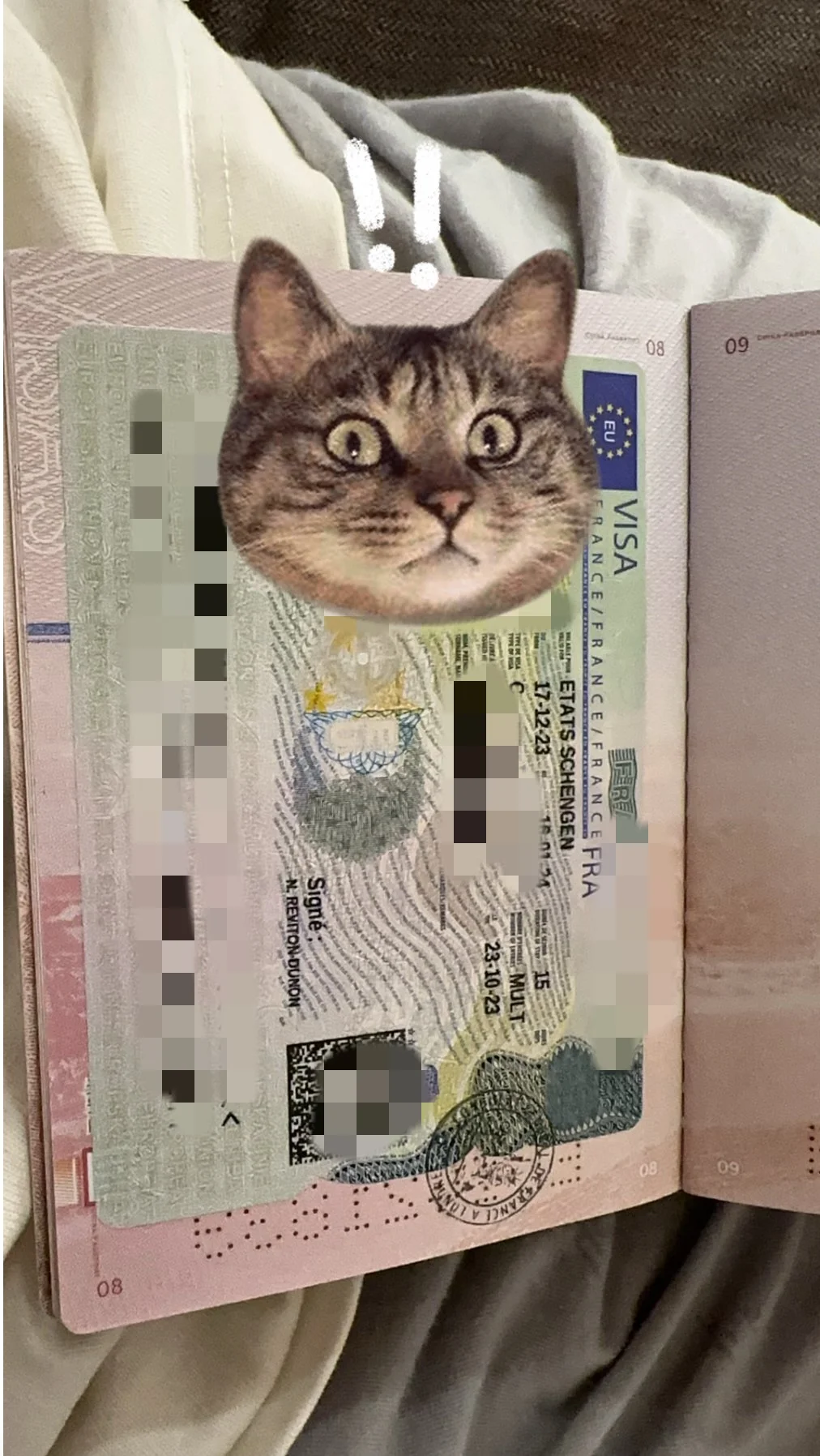 ✨ "Monsieur Chen: A Student's French Dream—The Complete Journey to Easily Obtaining a French Travel Visa" ✨