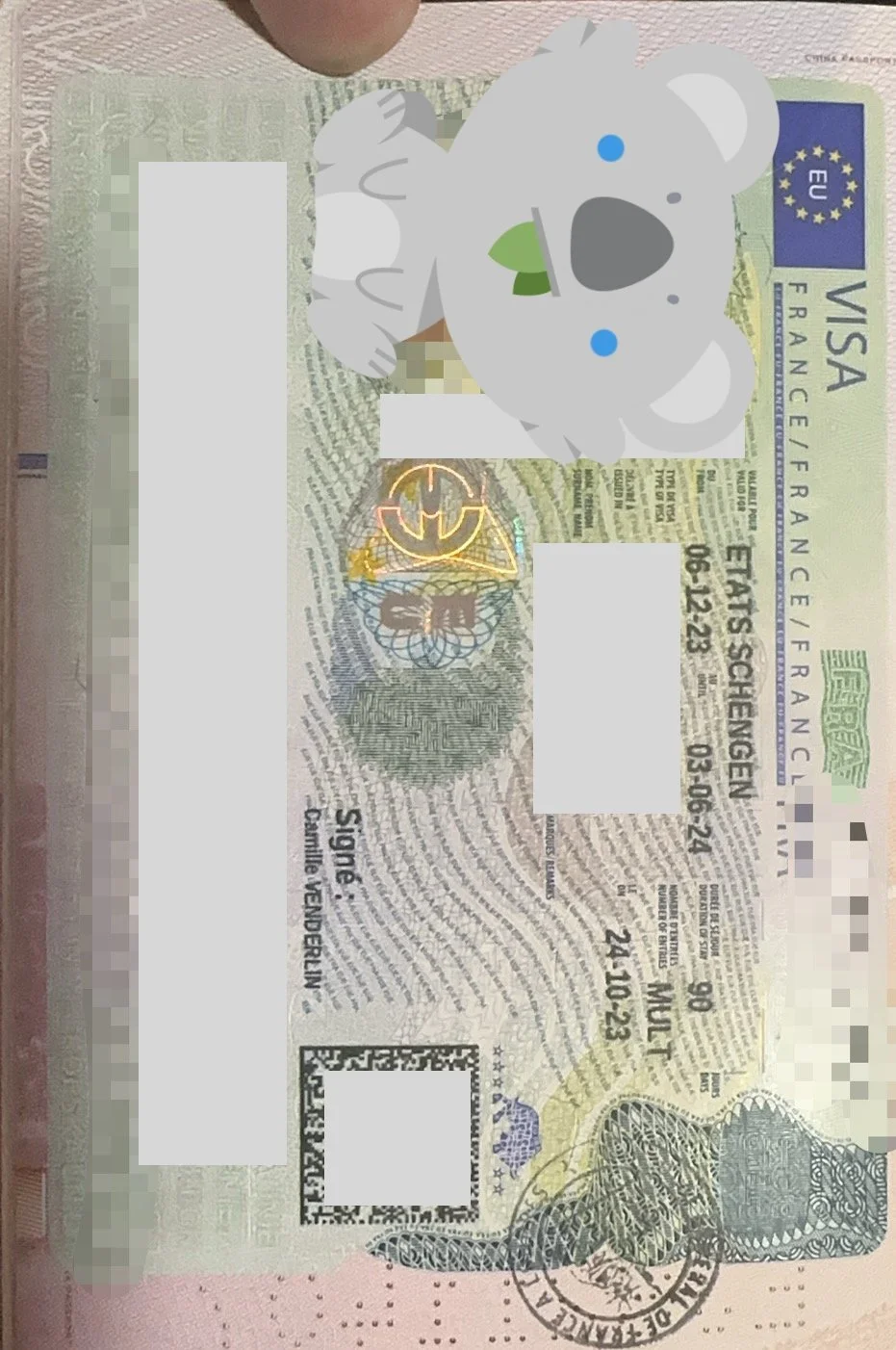 ✨ Six Months in France – The Successful Visa Story of Monsieur Pierre ✨