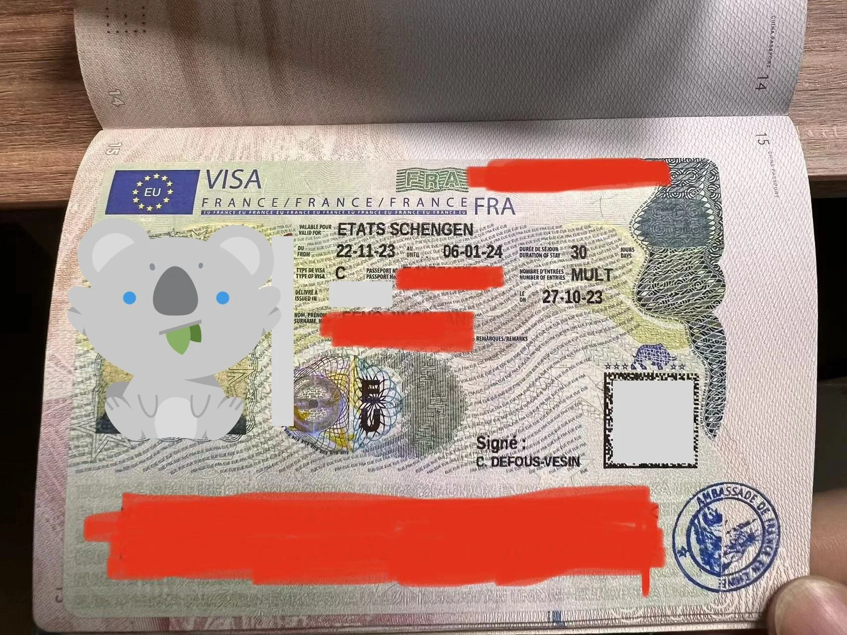 ✨ "Monsieur François' Paris Dream: From Planning to Visa, Everything Is Just Perfect" ✨