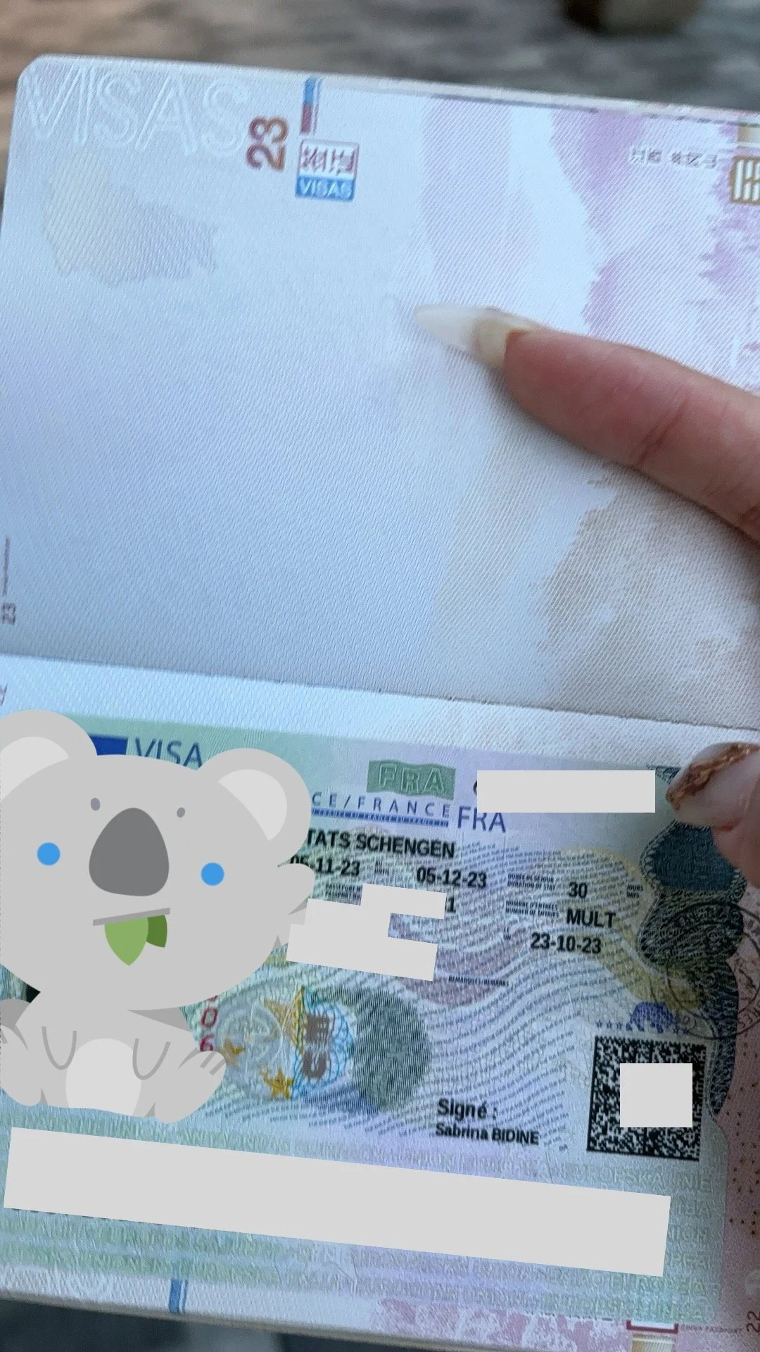 ✨ "Mademoiselle Dubois’ French Travel Chapter: A New Passport, An Old Dream, Endless Possibilities!" ✨