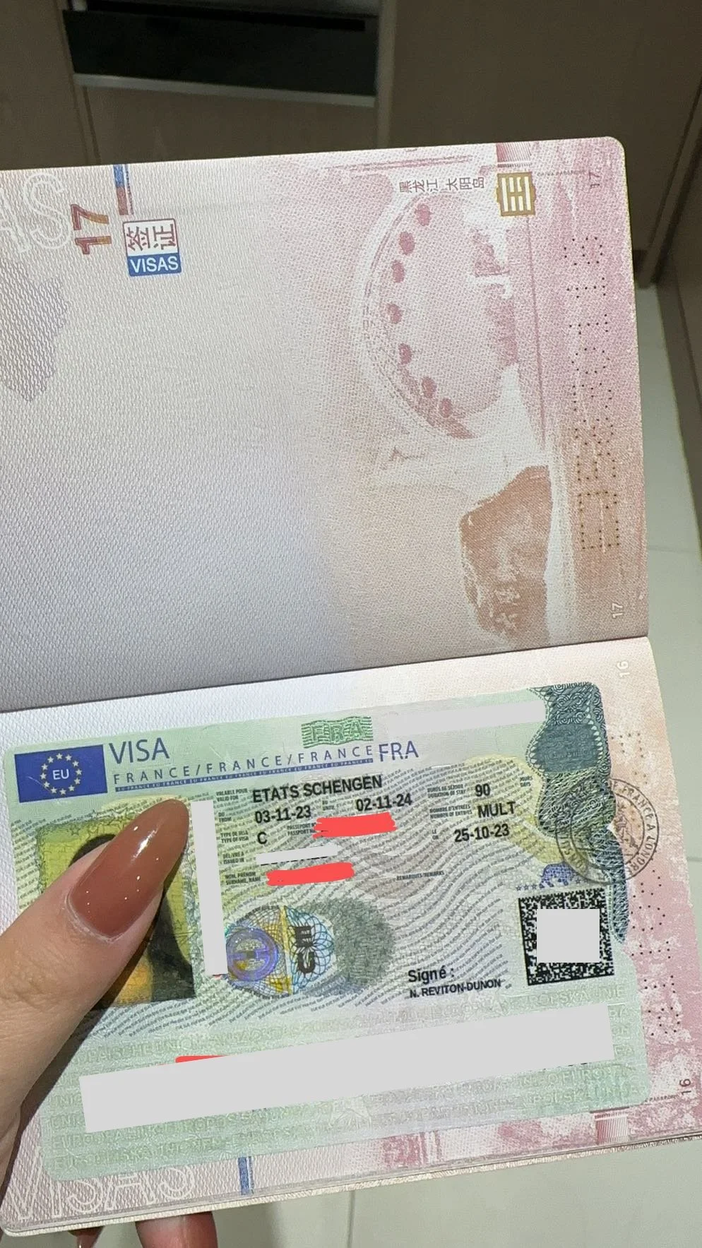 ✨ "Mademoiselle Baudouin’s French Annual Chronicles: A Year to Create Memories in France" ✨