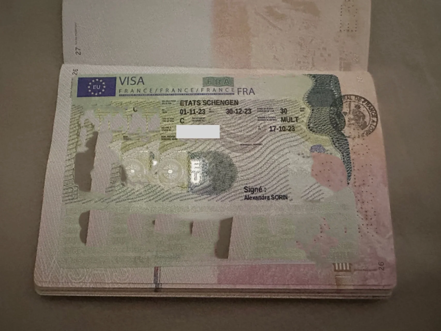 "Mr. Dubois's French Sojourn: Discovering the Romance and Charm of France" 🇫🇷