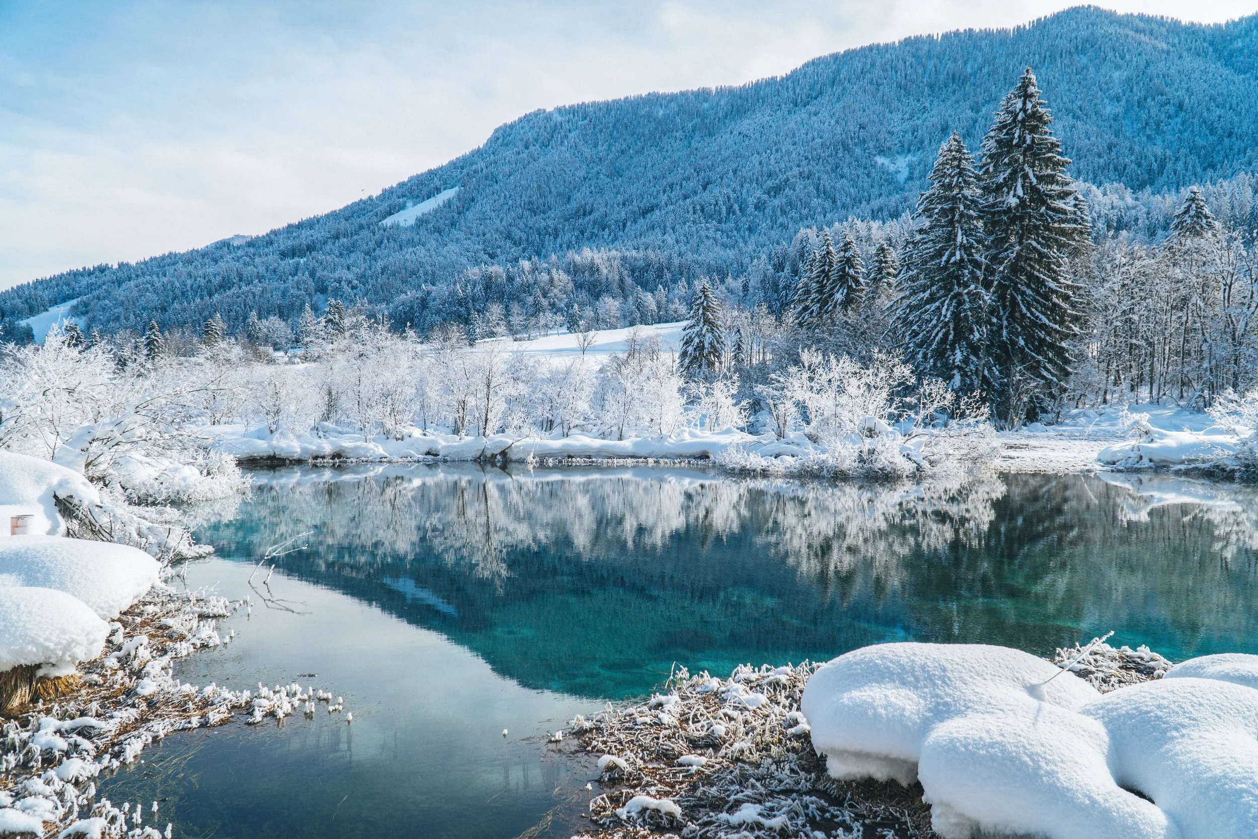 Travel Notes on Planting Grass｜Slovenia