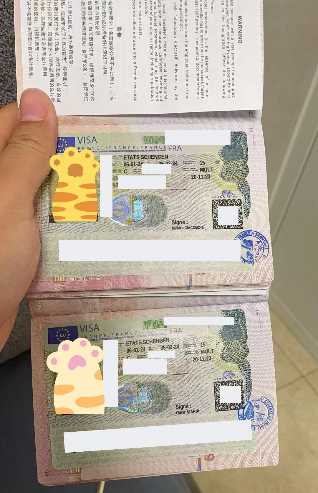 🌟 European Adventure: Madame Martin and Monsieur Bernard's French-Swiss Journey 🇫🇷🇨🇭