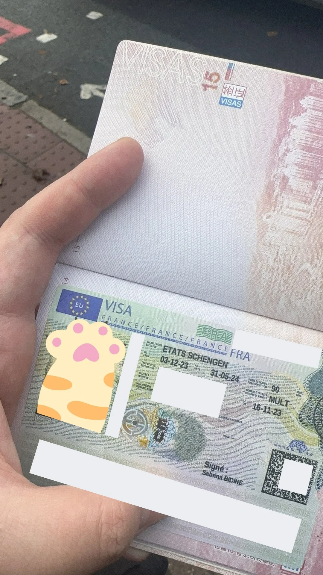 ✨ Discovering the Dream of Paris: Monsieur Dubois' Journey to France 🇫🇷