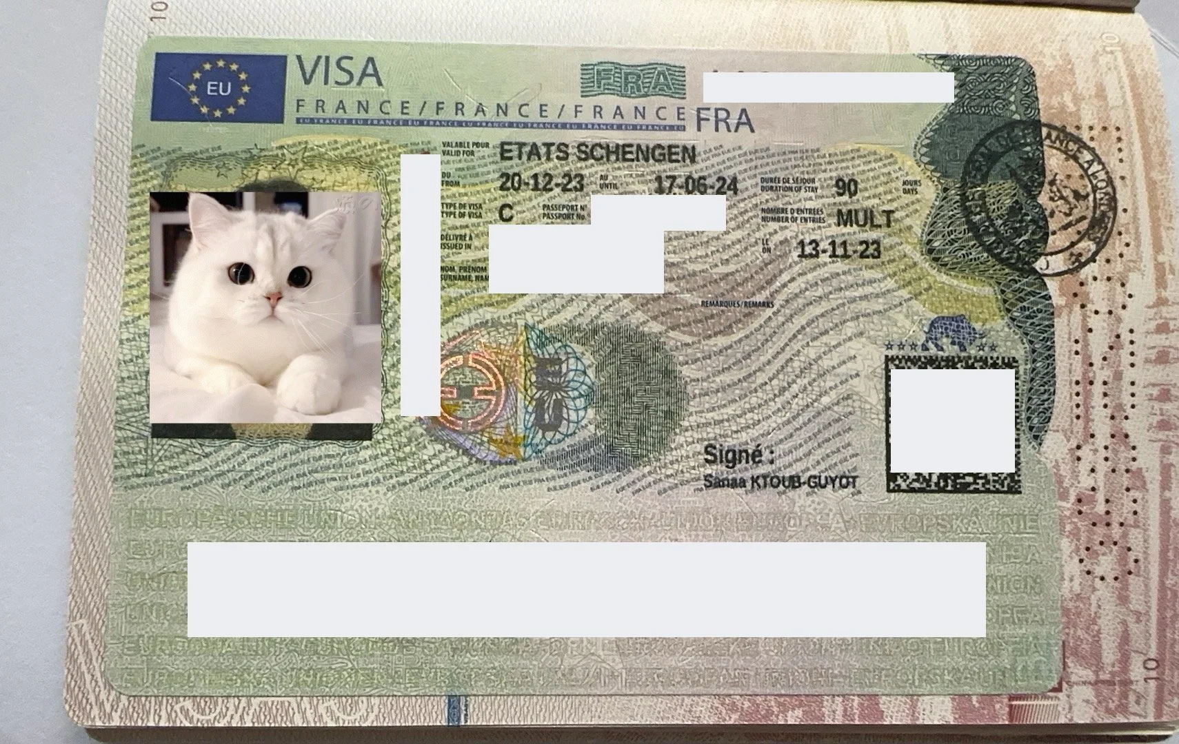 ✈️ Ms. Dubois' French Adventure 🇫🇷🗼