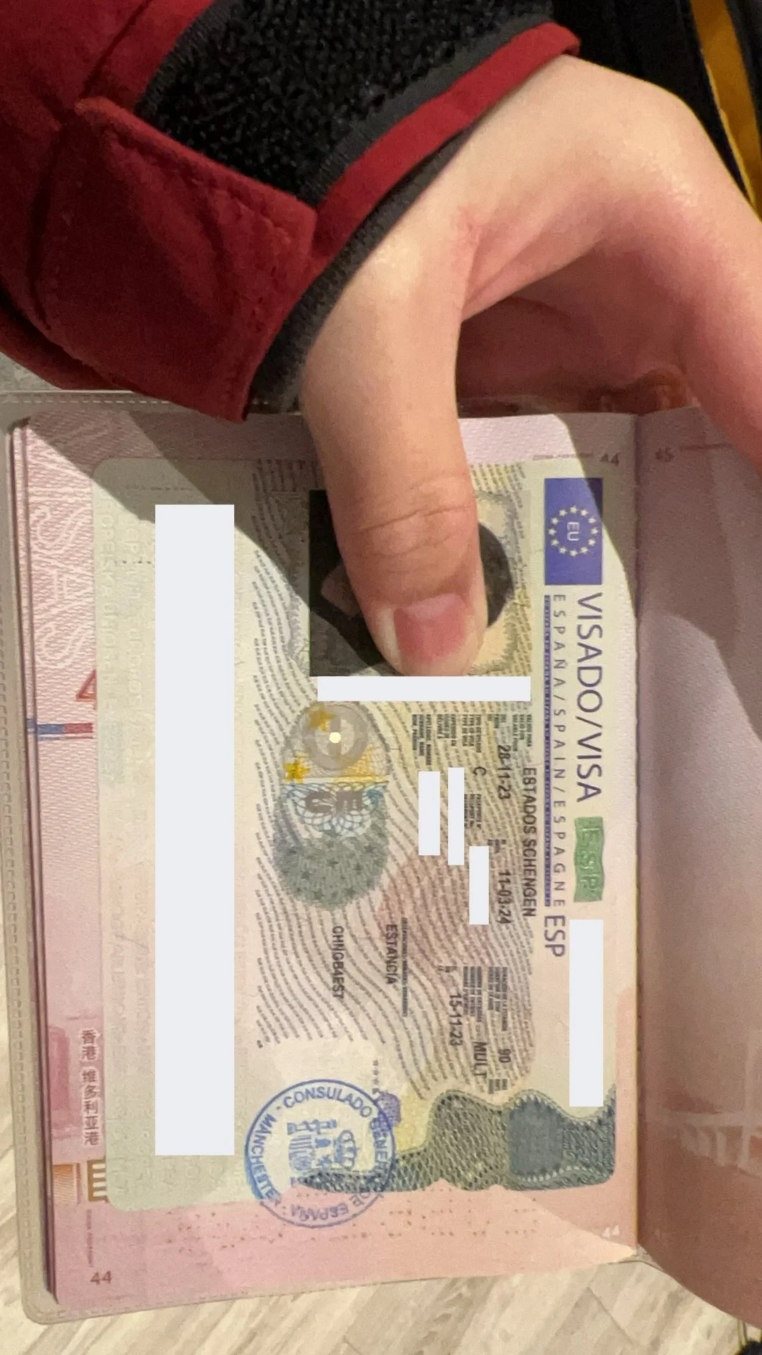 🌞 Ms. Lucia's Spanish Adventure 🇪🇸🌴