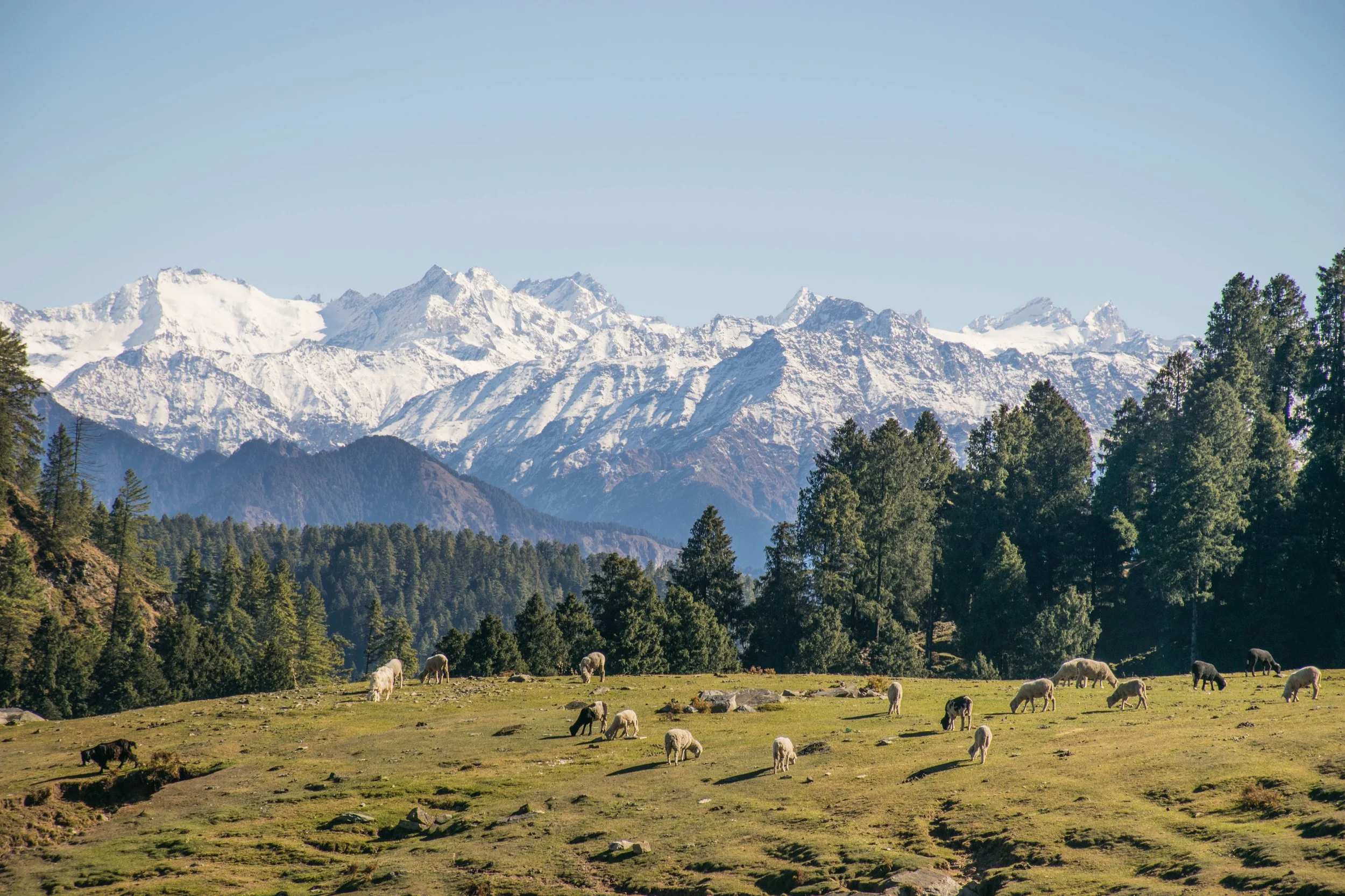 Switzerland Photography Guide: Capturing the Alpine Wonderland