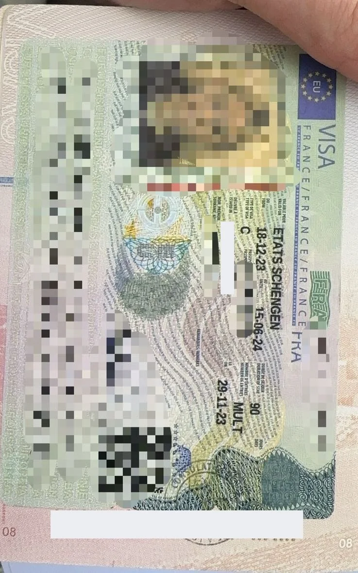 Single students can apply for visa in four days. Ms. Dubois French travel visa case sharing