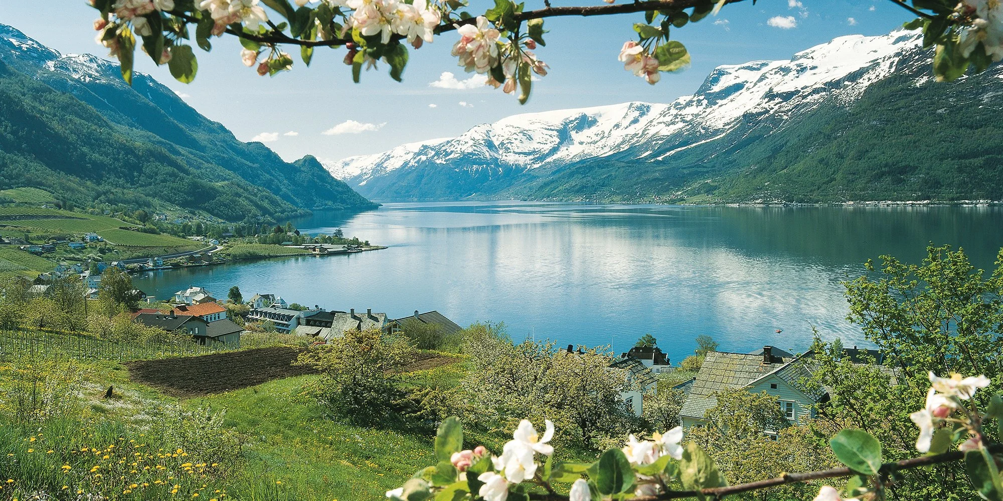 Exploring the Natural Wonders of Schengen Countries: The Fjords of Norway