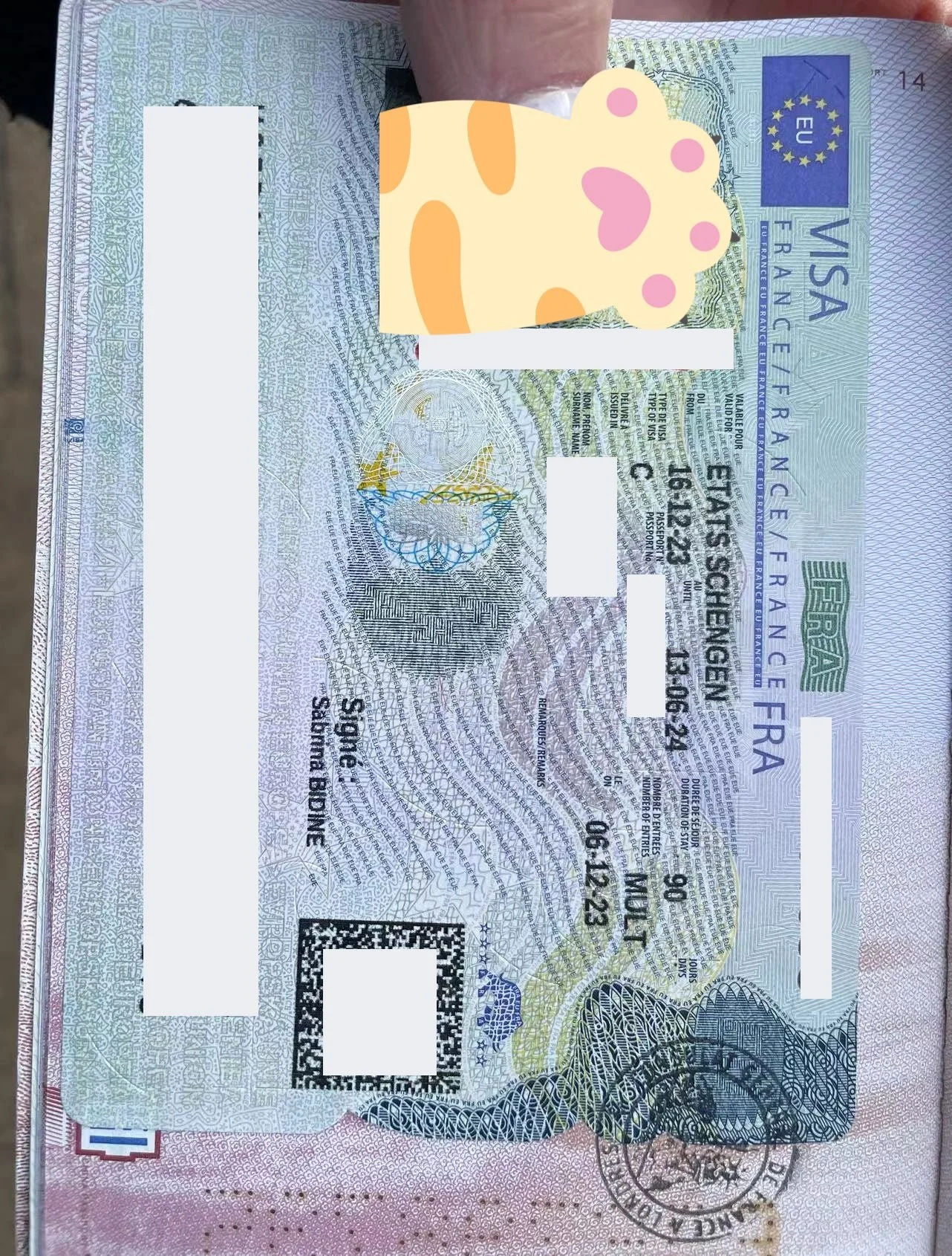 🌟 Ms. Lefevre's Successful Visa Story 🇫🇷