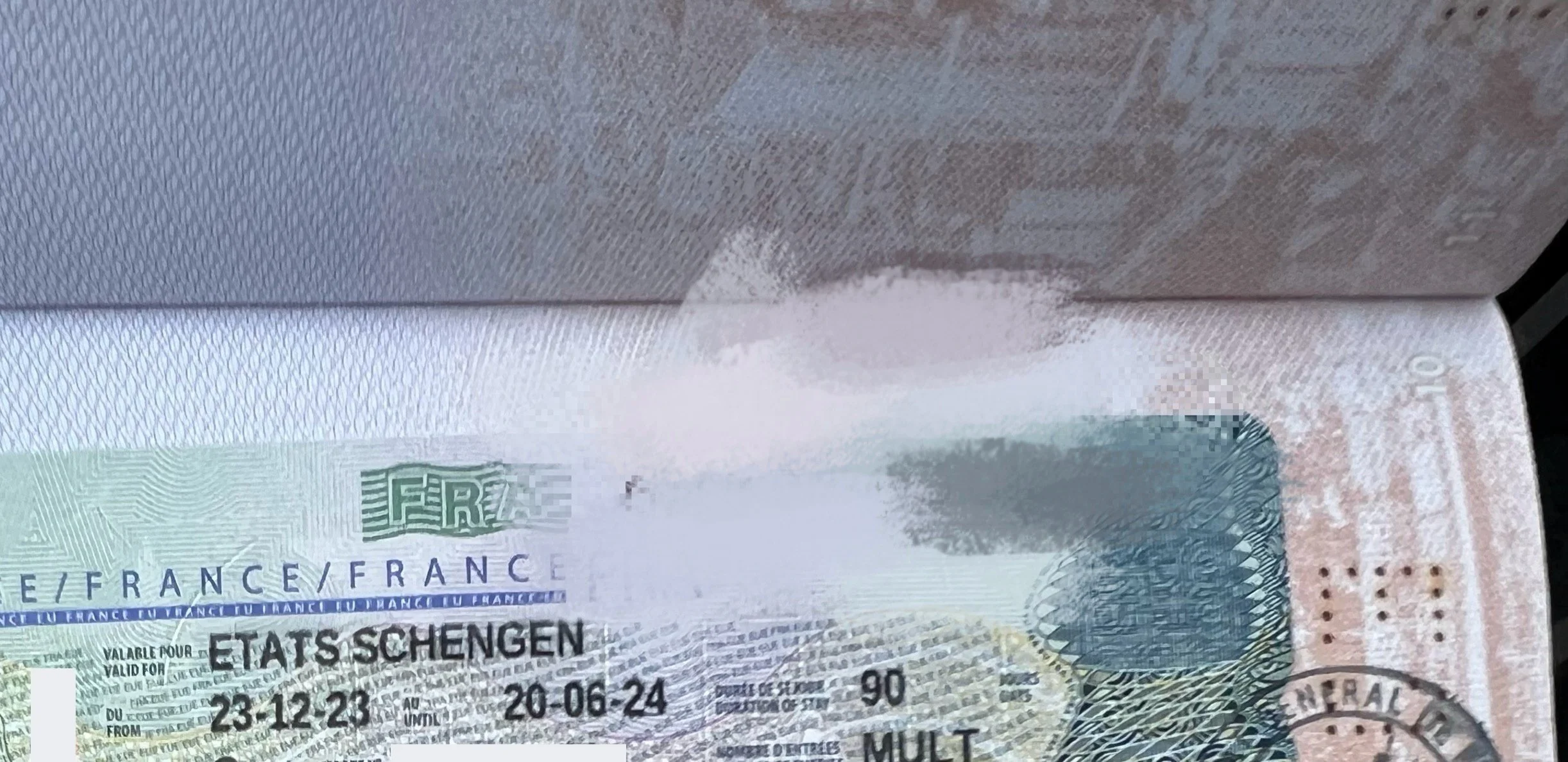 🇫🇷 Mr. Dubois's Successful Visa Story 🌟