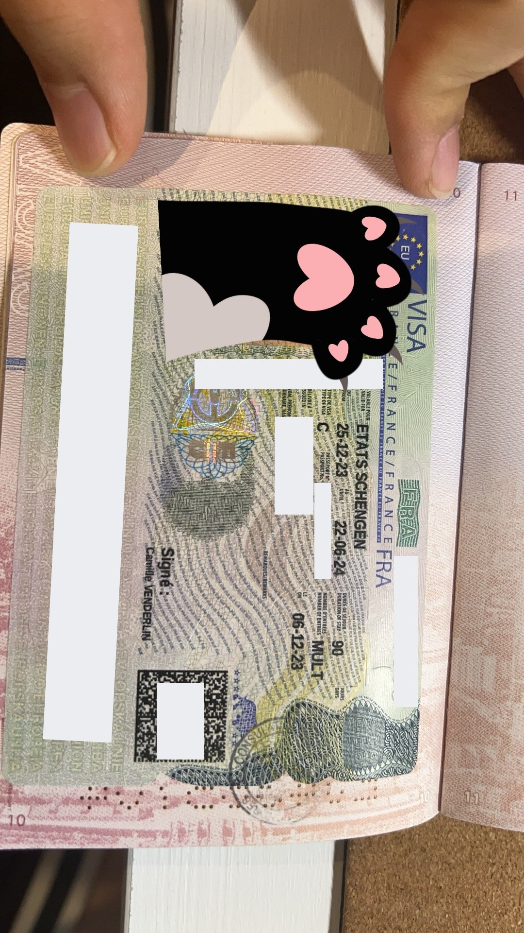 Mr. Xavier's French Travel Visa Success Story