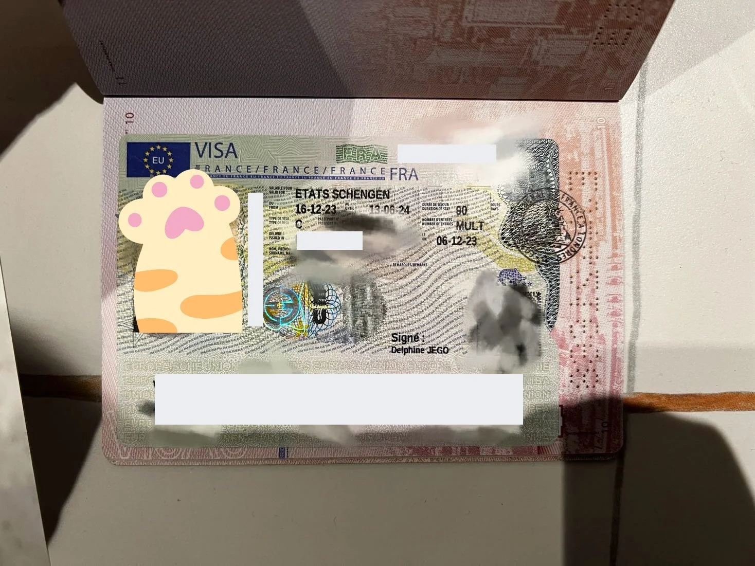 [Fulfilling the French Travel Dream] 🇫🇷 Mr. Dubois's Visa Application Story 🌟