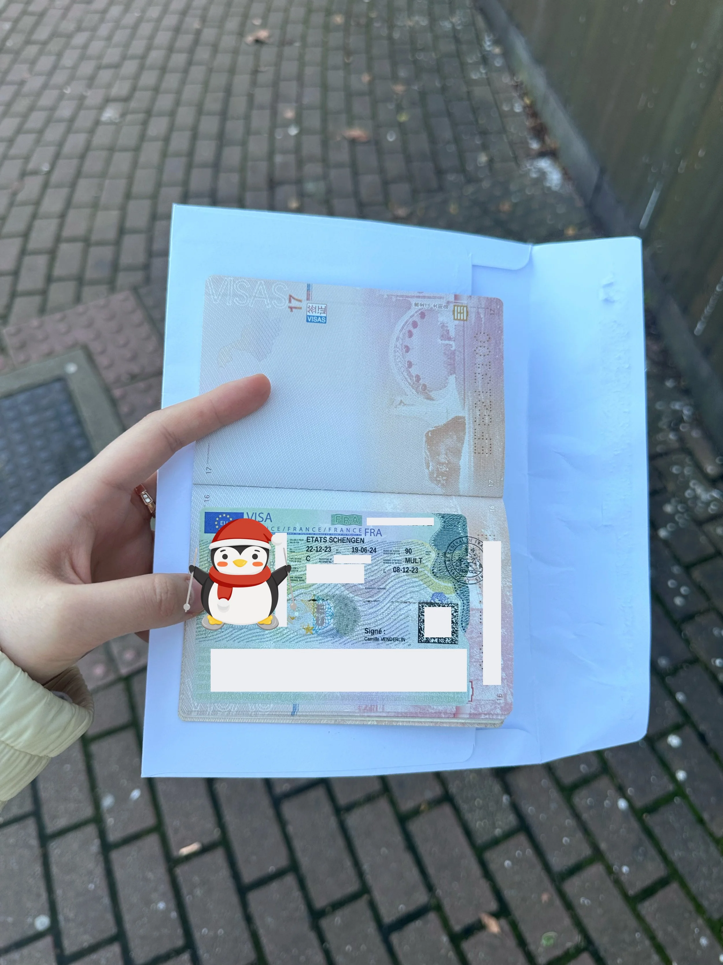 [The Dream of a French Voyage Comes True for Two] 🇫🇷 The Success Story of Ms. Dubois and Mr. Lefevre's Visa Applications 🌟