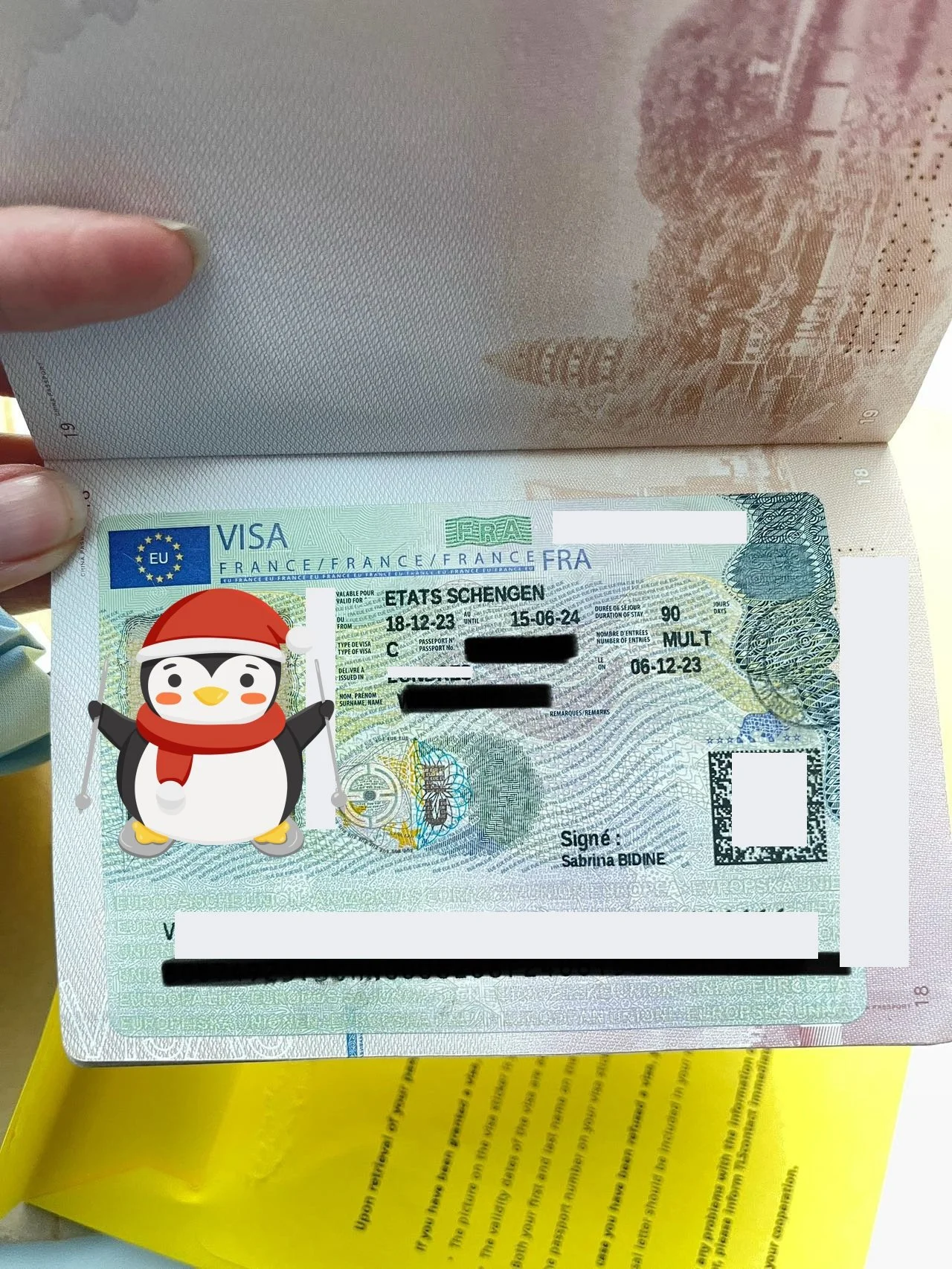 [Embarking on a Romantic Journey to France] 🇫🇷 Ms. Dubois' Successful Visa Story 🌟