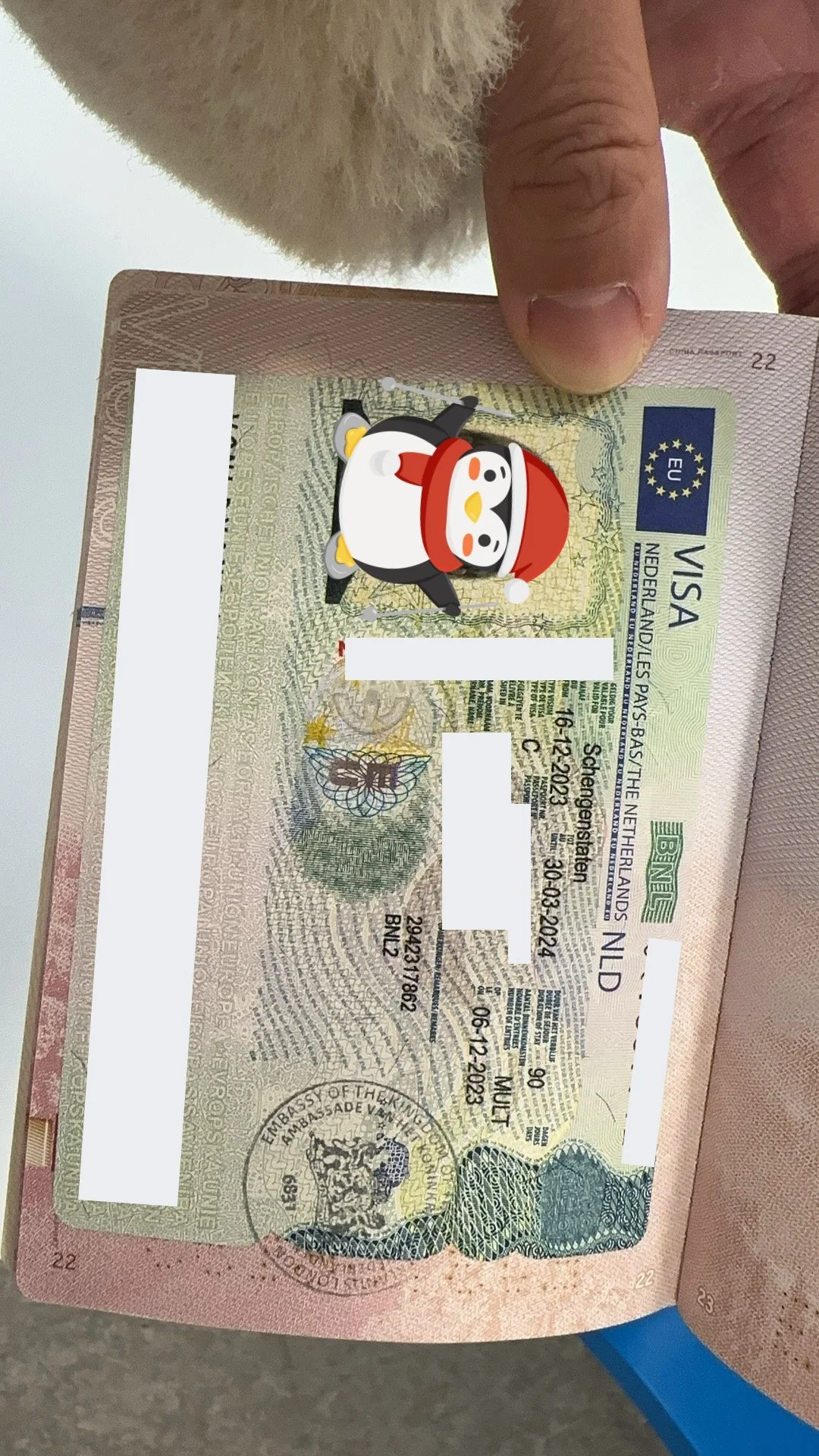 【The Dutch Journey Comes True】🌷 Ms. Jansen and Mr. De Jong's Successful Visa Story 🇳🇱