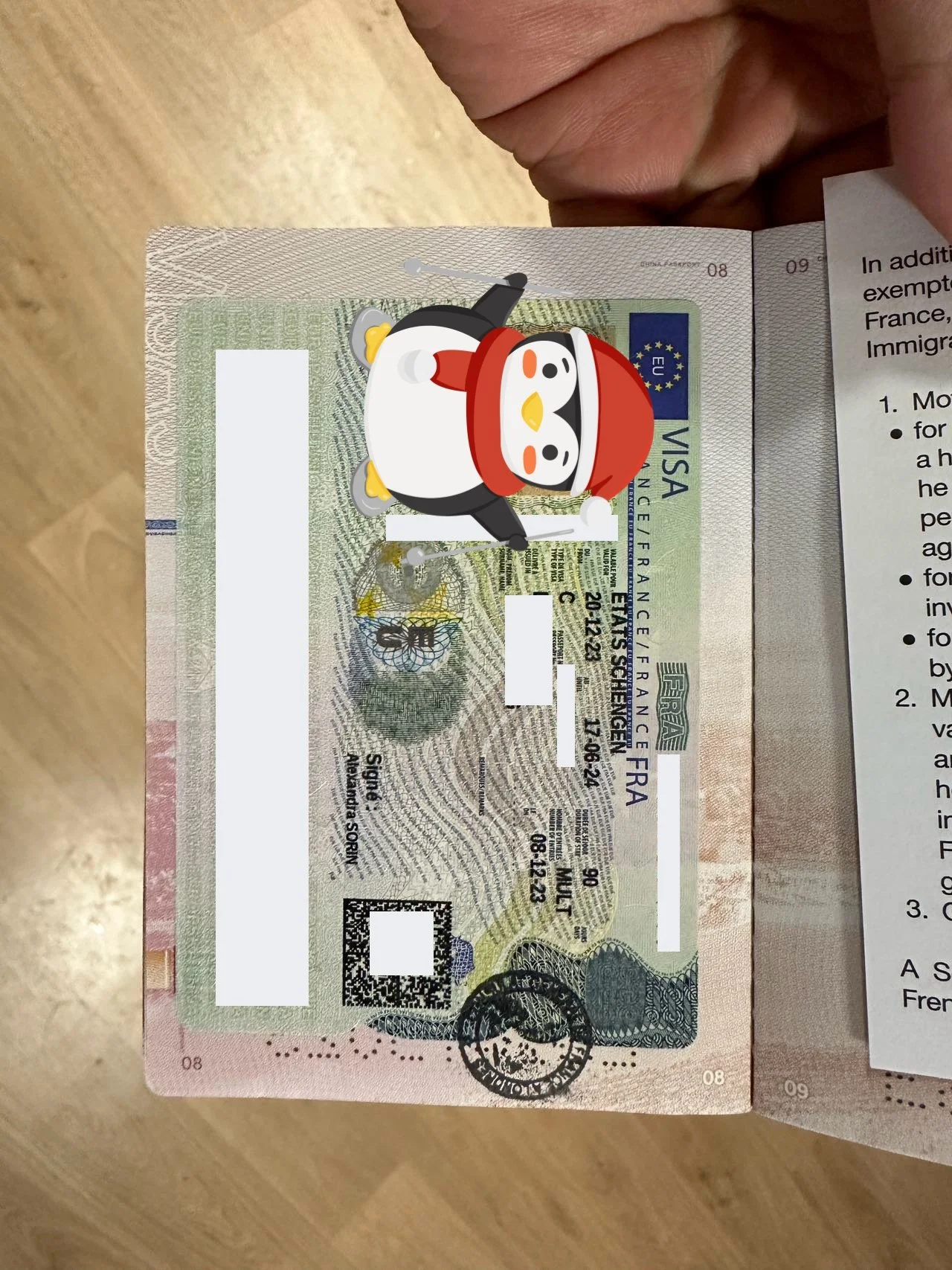 Chasing the Dream in France 🇫🇷 Monsieur Zou's Successful Visa Story 🌟