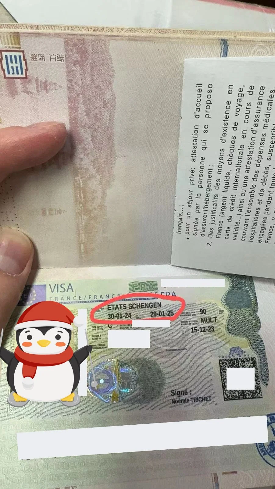 "Mr. Jourdain's French Travel Dream: A Rapid Visa Success Story" 🇫🇷