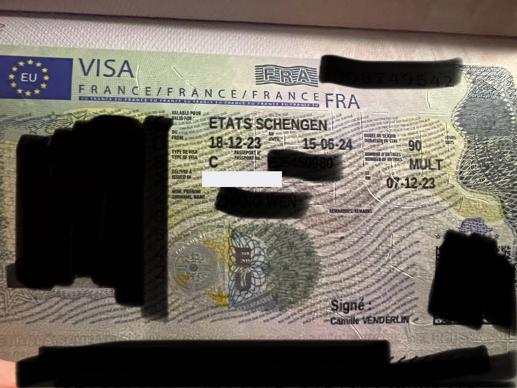 Embarking on an Academic Journey: Ms. Dubois' Successful French Business Visa Story 📚🇫🇷