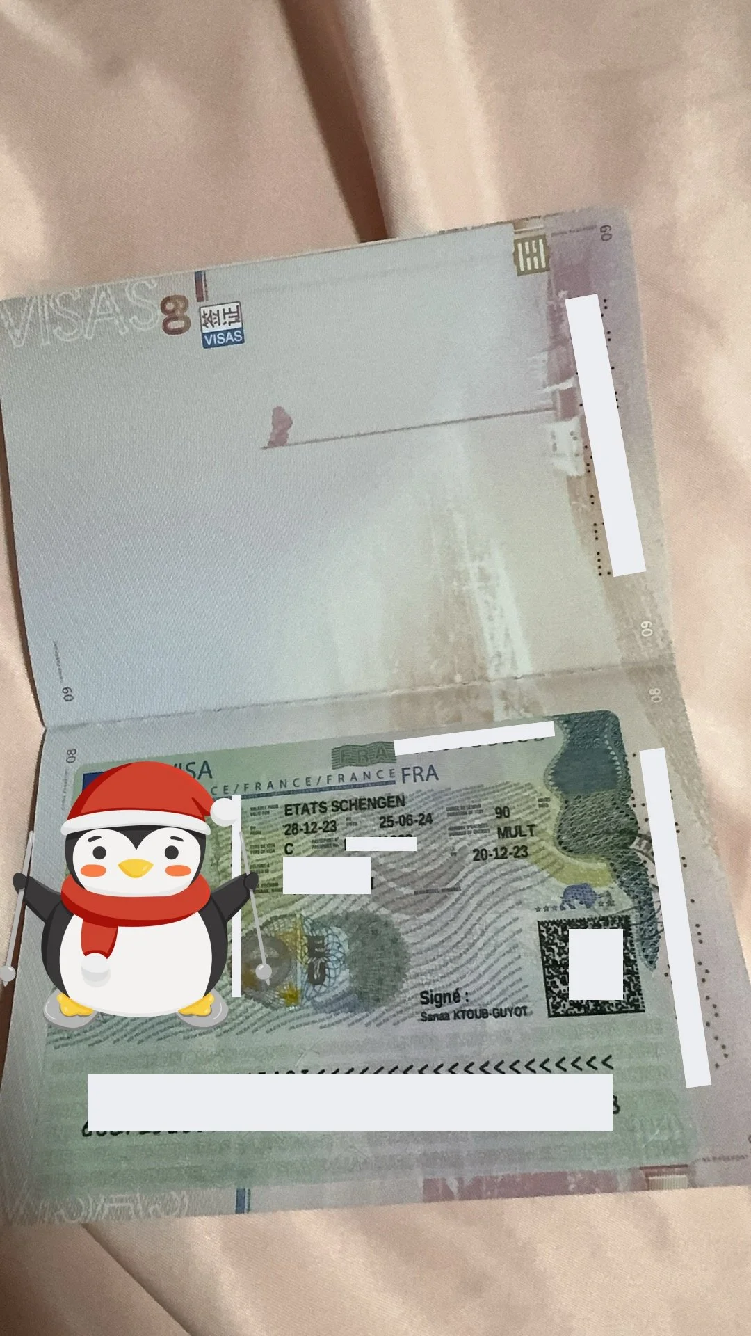 "Discover French Charm with Mademoiselle Dubois" 🇫🇷 Mademoiselle Dubois's Successful Visa Story 🌟