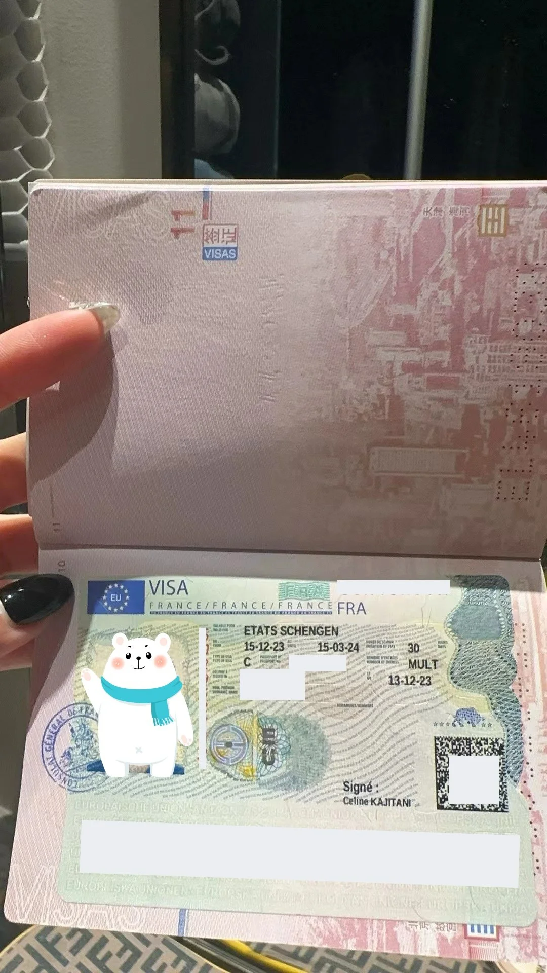 "French Journey: Experience and Discovery" 🇫🇷 Madame Leroux and Monsieur Bernard's Successful Visa Story 🌟