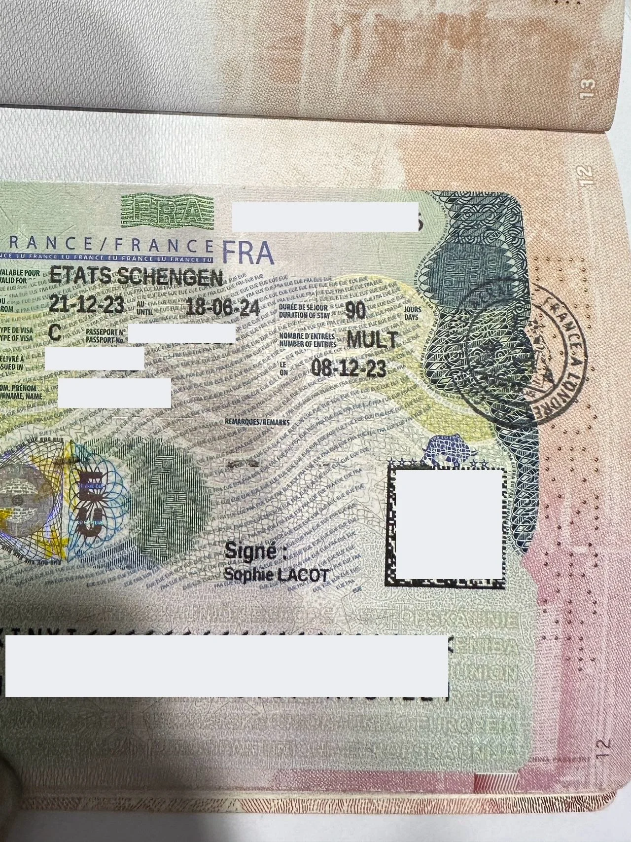 Chasing the French Dream 🇫🇷 Madame Dubois's Successful French Travel Visa Story 🌟