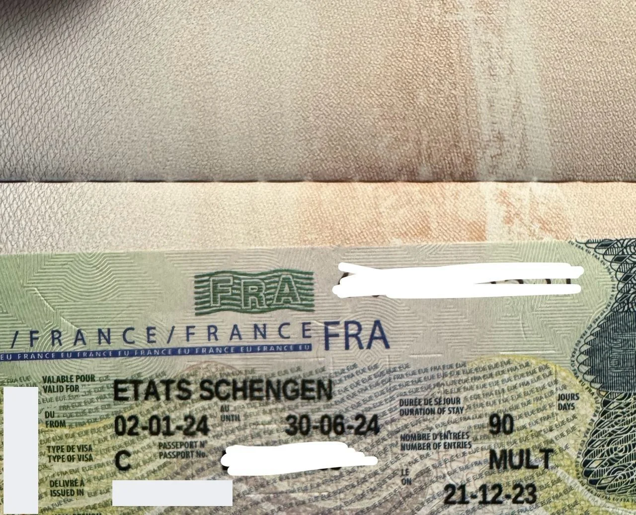 The French Dream Within Reach: Madame Dubois' Successful Visa Story 🇫🇷