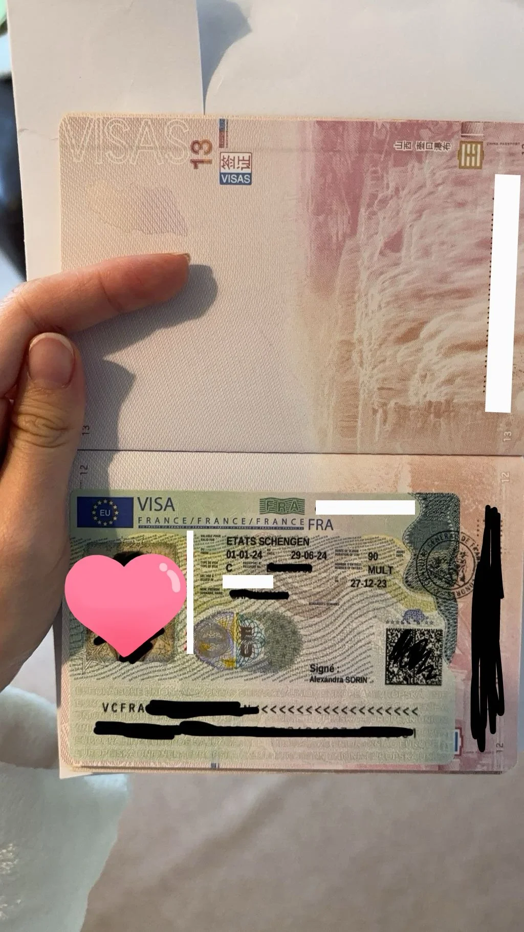 From Dream to Reality: A French Journey 🇫🇷 Ms. Martin's Travel Visa Success Story 🌟