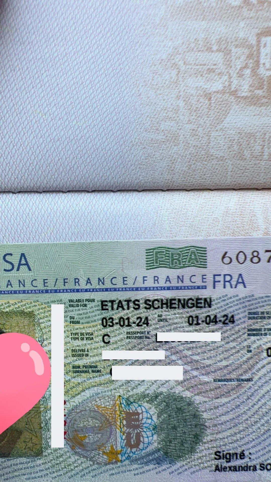 【Chasing Dreams in France】🇫🇷 Ms. Dubois's Successful French Travel Visa Story 🌟