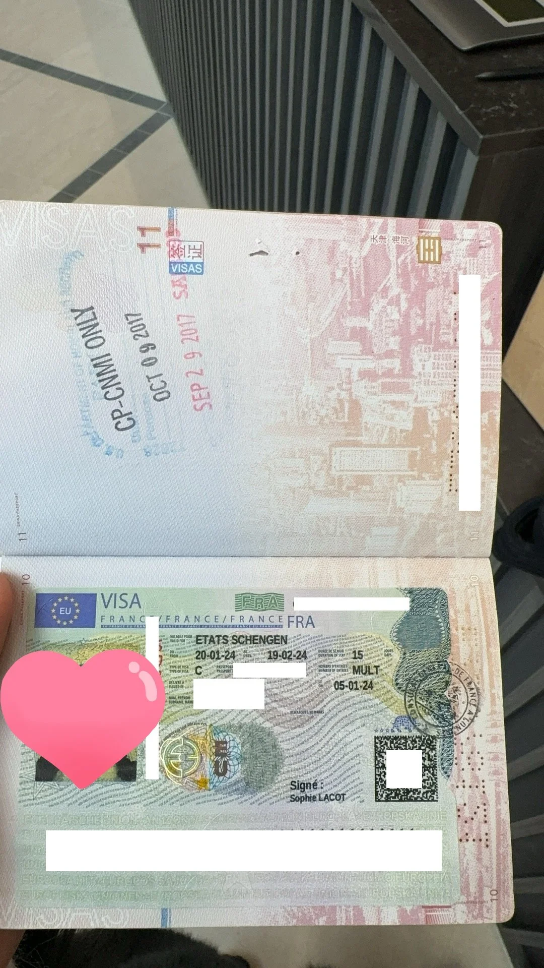 🇫🇷 A French Romantic Journey Awaits: Ms. Dubois' Successful French Travel Visa Story 🌟