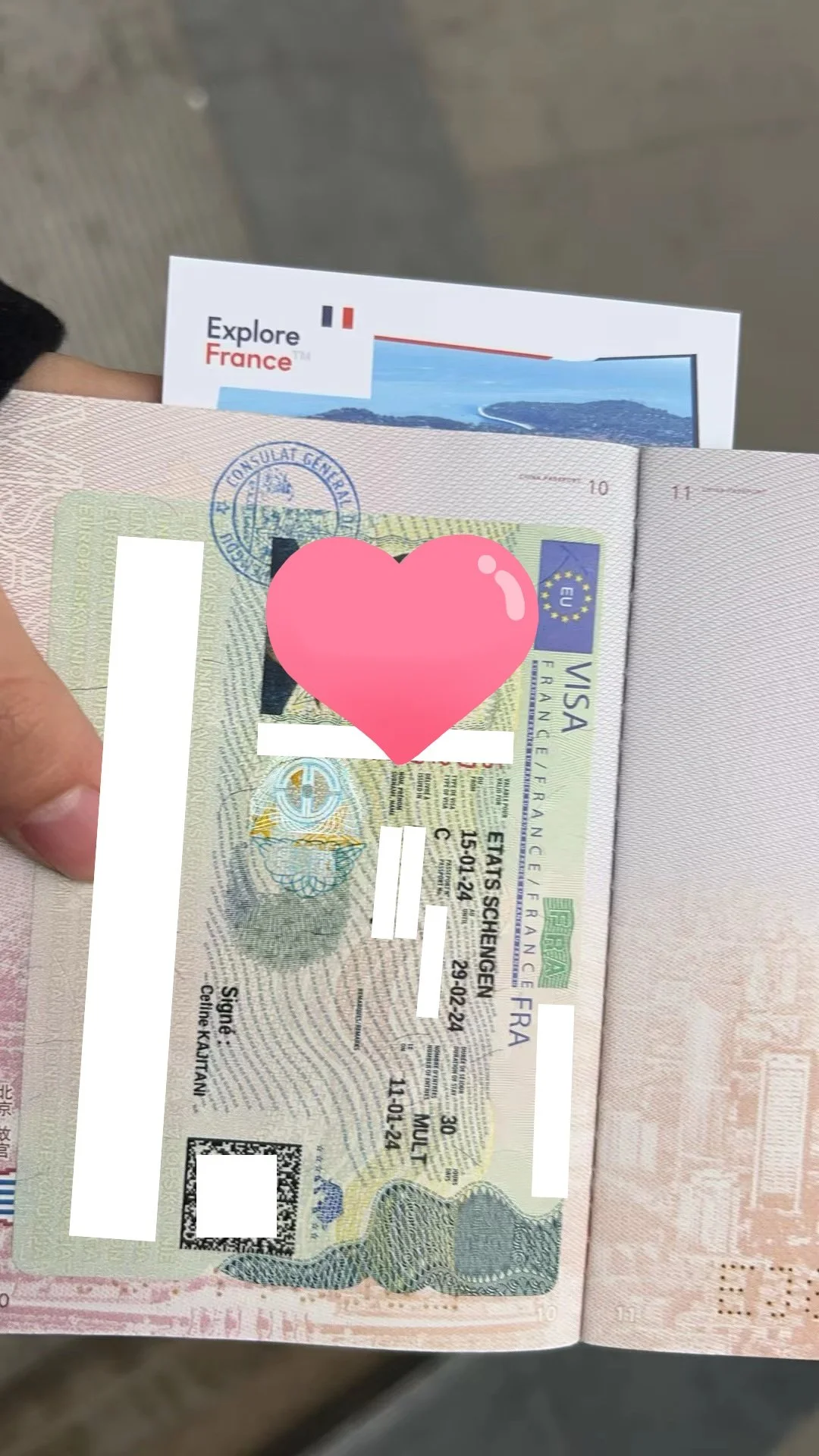 Swift Passage to the French Dream 🇫🇷 The Successful Story of Ms. Dubois's French Travel Visa 🌟