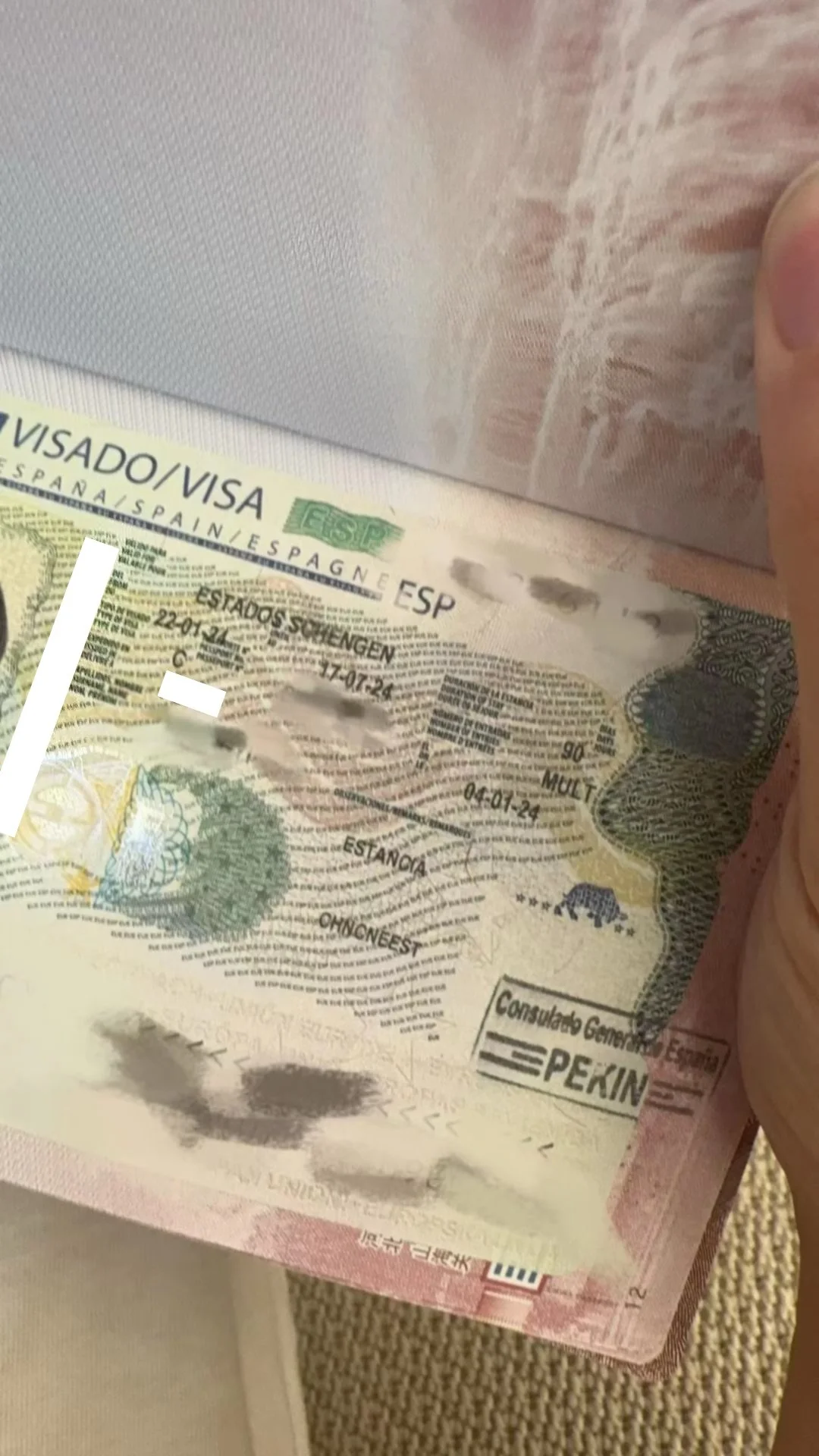 A Duo's European Journey 🇪🇸🇫🇮 Ms. Ana and Mr. Alejandro's Successful Spanish and Finnish Visa Story 🌟